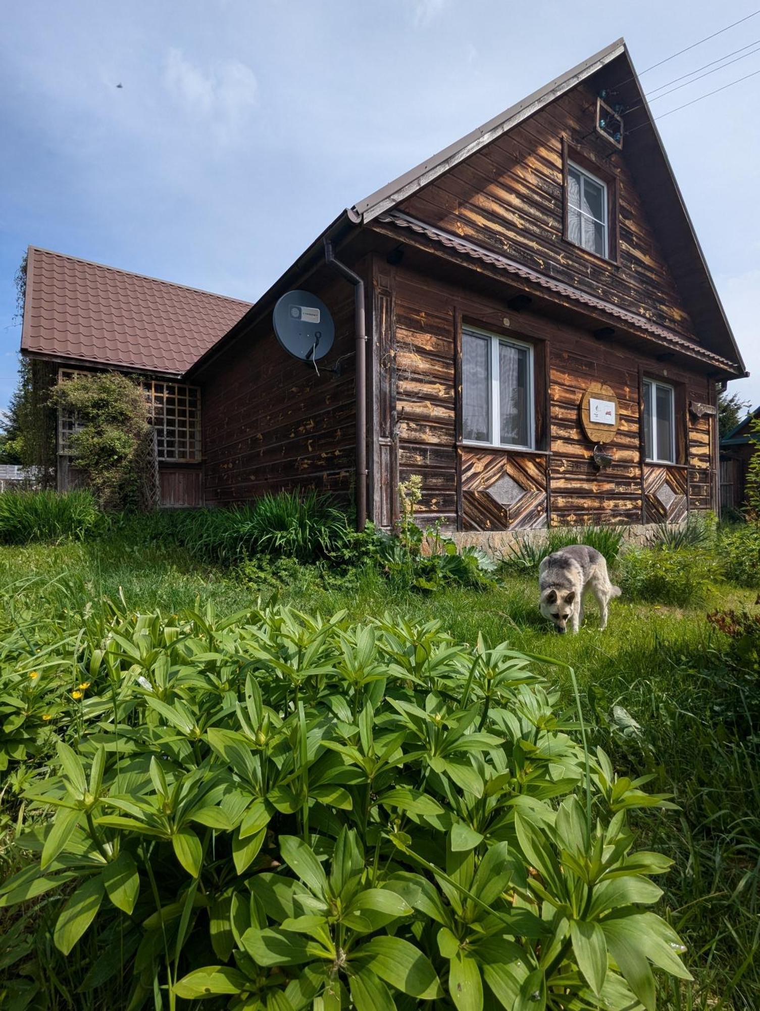W Starym Sadzie Kwatera prywatna Białowieża